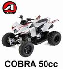 Ricambi Aeon Cobra 50cc